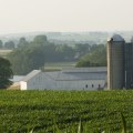Revitalizing Local Agriculture in Beaver County, Pennsylvania
